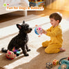 BarkEcho™ OinkEcho Interactive Plush Ball