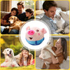 BarkEcho™ OinkEcho Interactive Plush Ball
