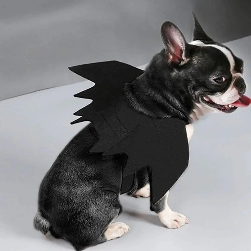 Alwht™ Bat Wings Cat Costume