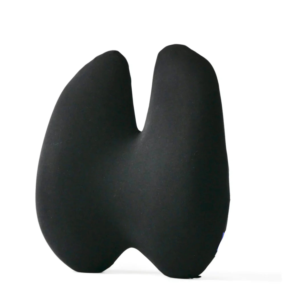 Alwht™ Orthopedic Lumbar Cushion