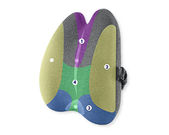 Alwht™ Orthopedic Lumbar Cushion